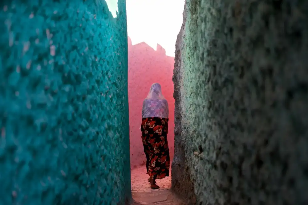 Cole, Trevor: Los colores de Harar