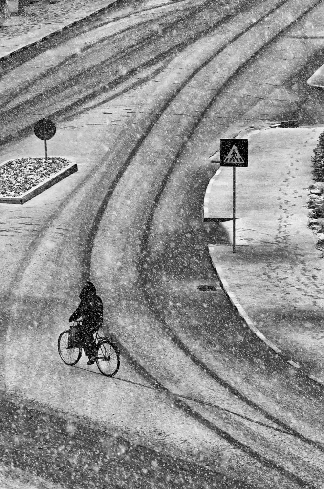 nedelcu, ian mihai: almost spring