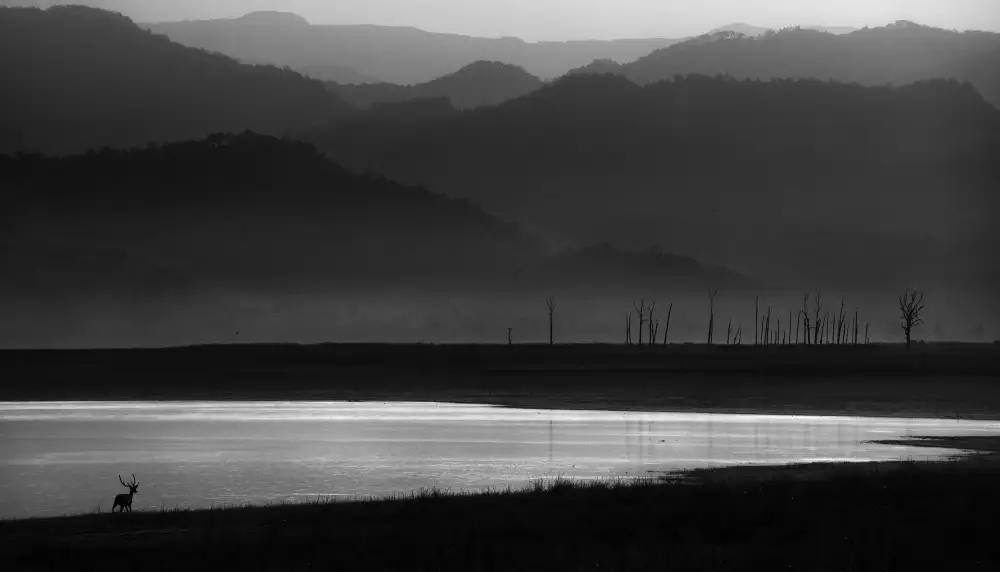 Swapnil: The world of its own