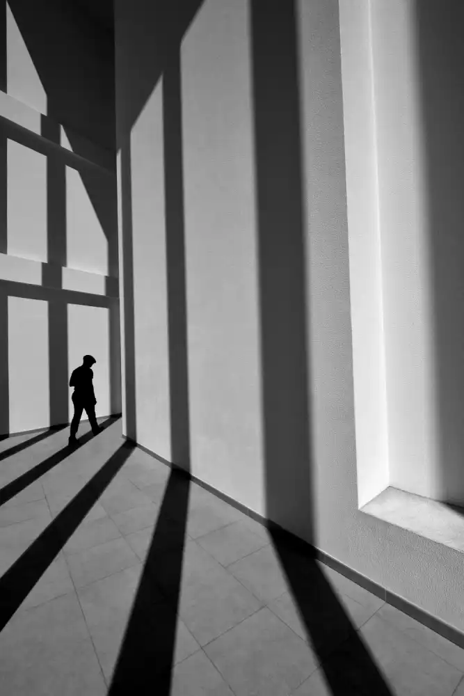 Joseph, Florentinus: ligne noire