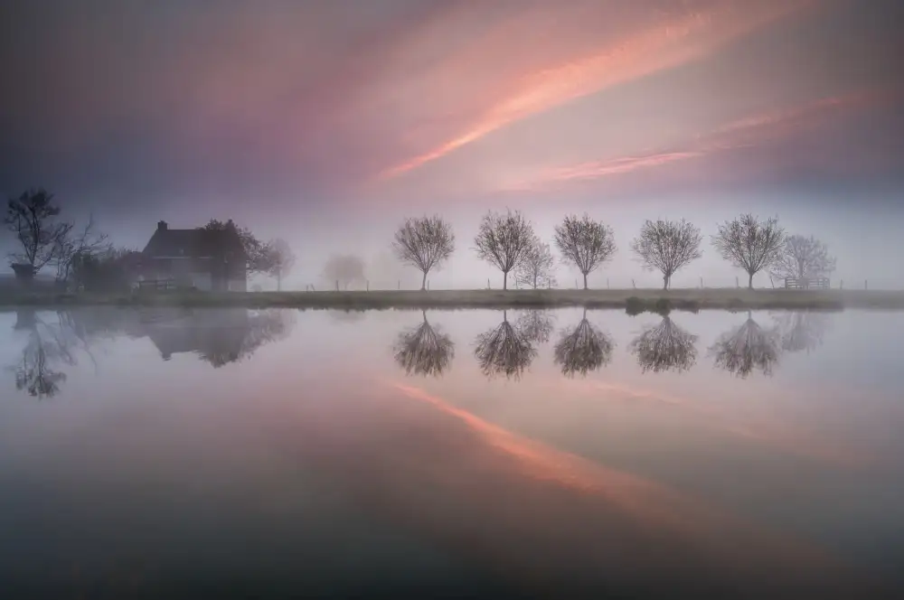 Landolt, Susanne: Dreamland