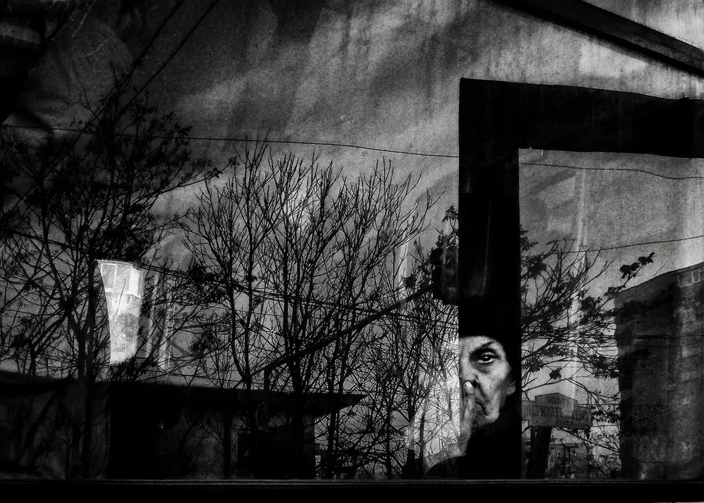 Momanu, Mirela: Espíritu del bosque