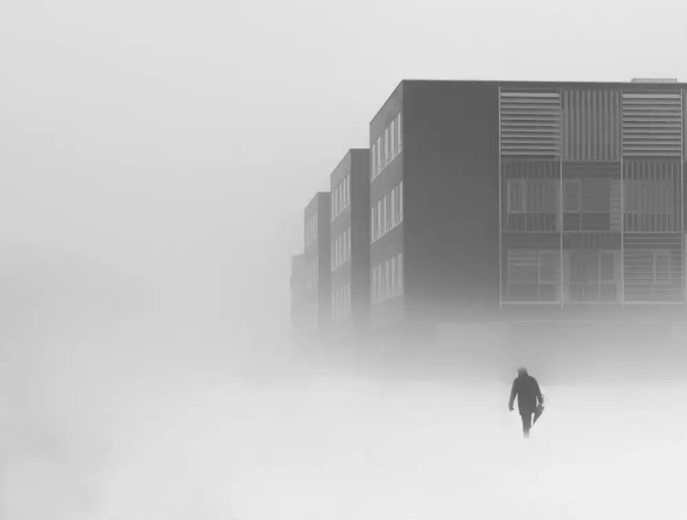 Vidmar, Nina: Promenade hivernale