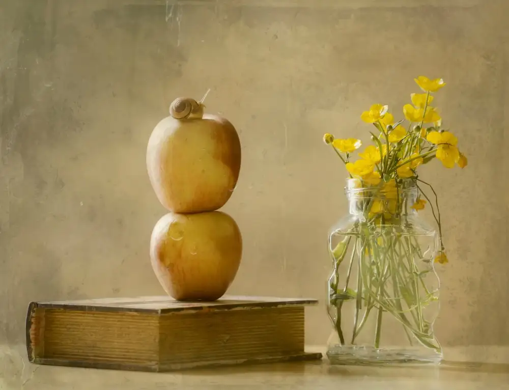 Devos, Delphine: Fleurs sauvages