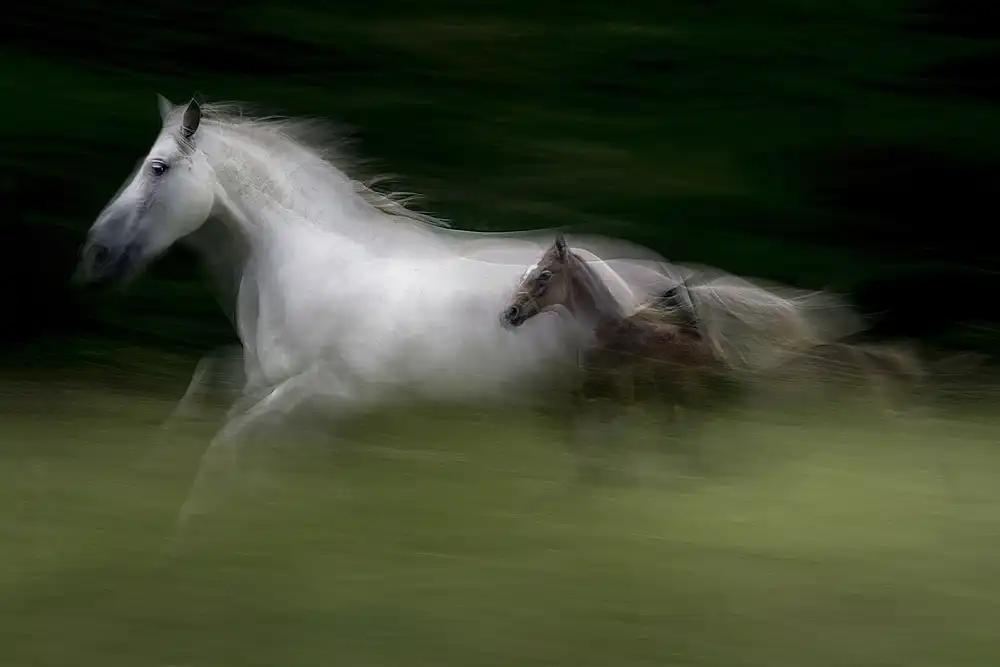 Malovrh, Milan: in nGeschwindigkeit