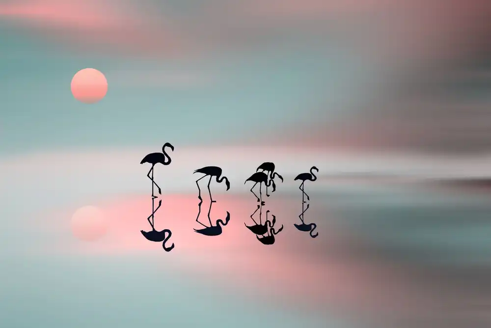 Natalia: Flamencos familiares.