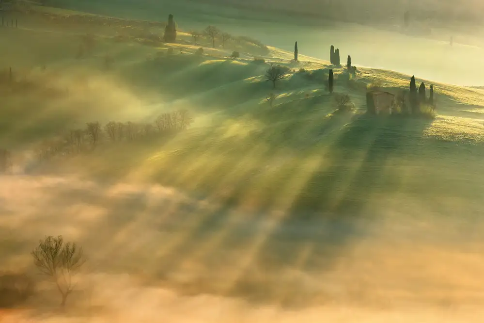 Browko, Krzysztof: Brume...