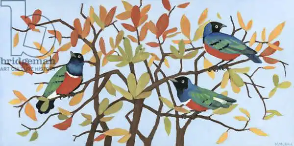 Moore, Mega: Suberb Starlings of East Africa