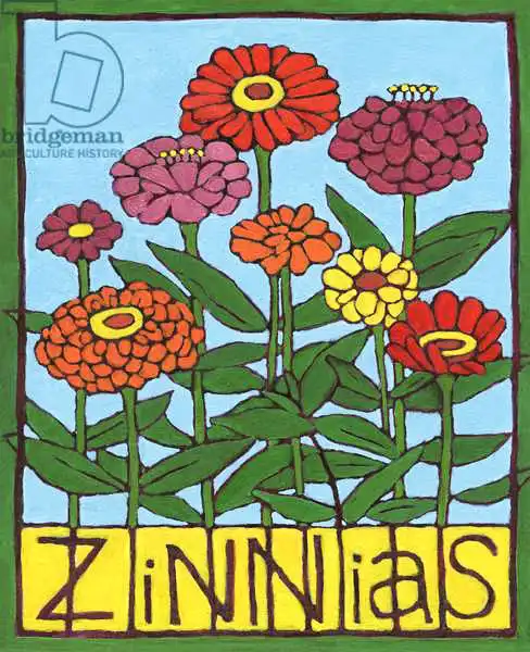 Moore, Mega: Zinnias