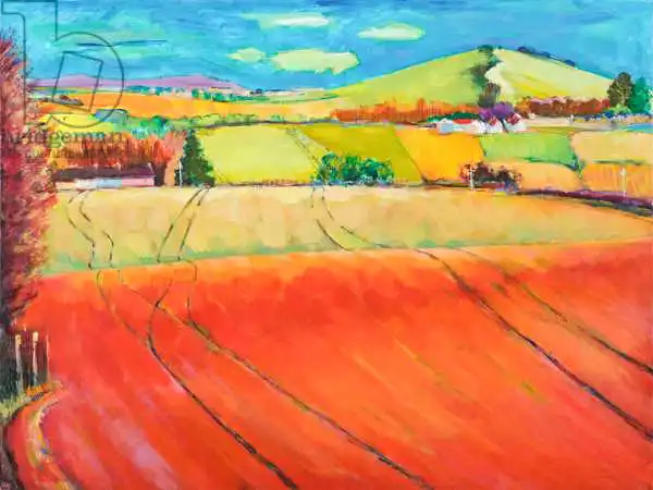 Cazzulini, Marc: Roundhill