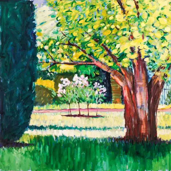 Cazzulini, Marc: Summer