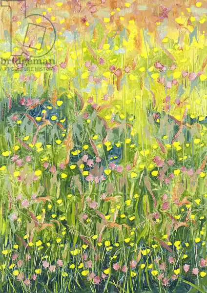 Glover, Leig: Summer Meadow