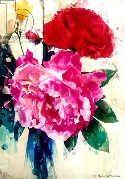 Moonshadow, AlyZe: Peony and Poppy