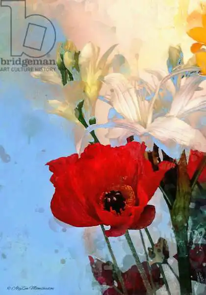 Moonshadow, AlyZe: Poppy on blue