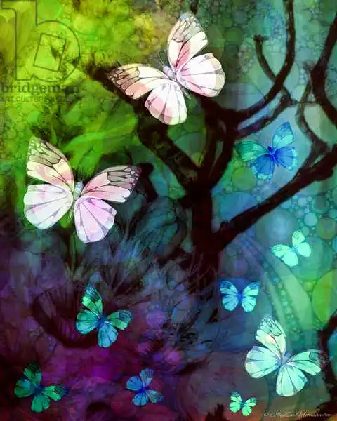 Moonshadow, AlyZe: In the Company of Butterflies
