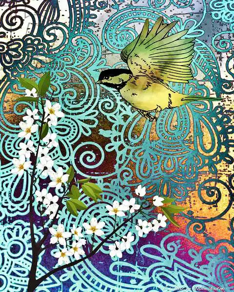 Moonshadow, AlyZe: Bird with Cherry Blossoms