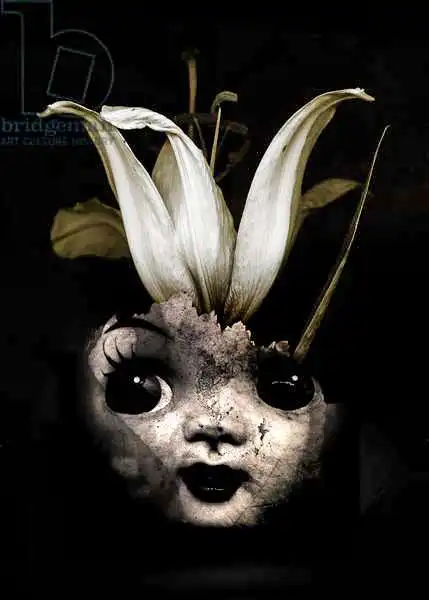Lilja, Joha: Doll flower