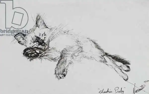 Alexander Booth, Vincen: Kitty 