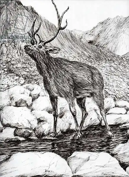 Alexander Booth, Vincen: Stag