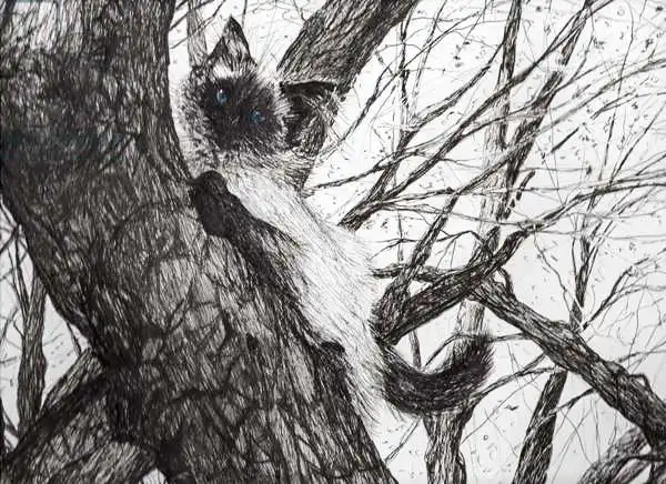 Alexander Booth, Vincen: Up the apple tree