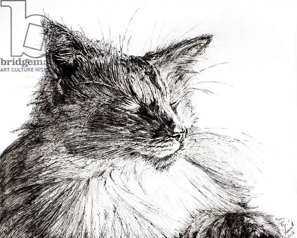 Alexander Booth, Vincen: Monty cosy boy