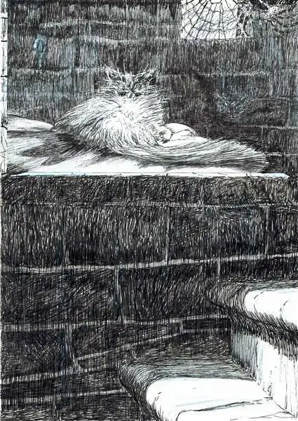 Alexander Booth, Vincen: Page21, The Castle in the Forest of Findhorn