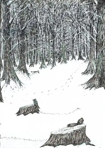 Alexander Booth, Vincen: Page5, The Castle in the Forest of Findhorn