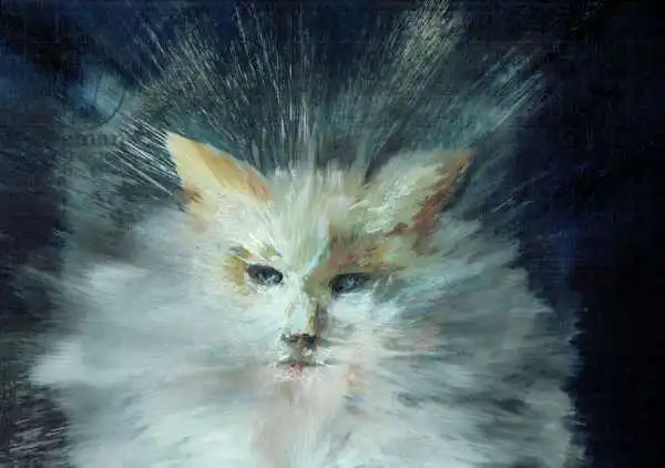 Alexander Booth, Vincen: Monty fluffball