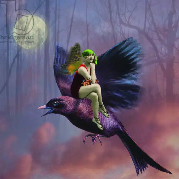 Snell, Olg: Flight