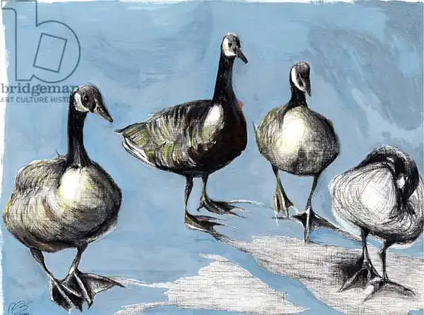 Moniz Charalambous, Nanc: Friendly Canada Geese