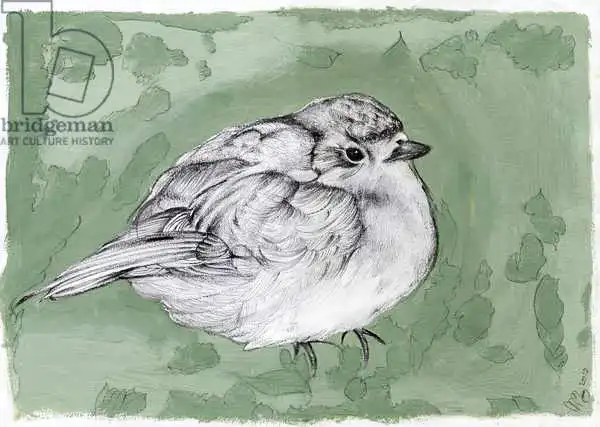 Moniz Charalambous, Nanc: Plump Little Robin