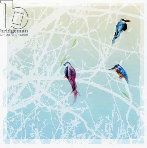 Moniz Charalambous, Nanc: Three Little Birds