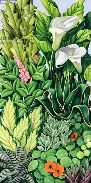 Abel, Catherin: Foliage I