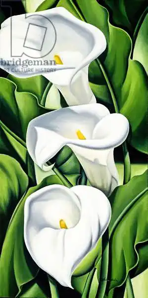 Abel, Catherin: Lilies