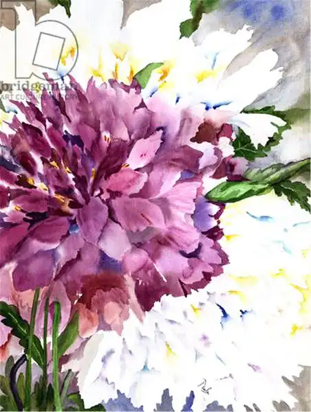 Pushparaj, Neel: Red Peony