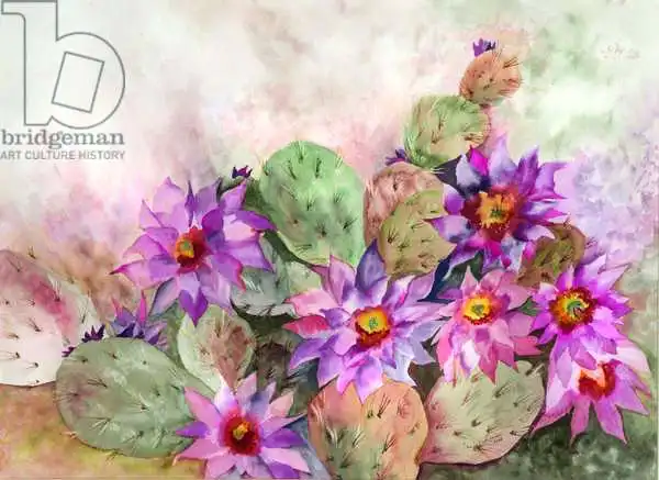 Pushparaj, Neel: Cactus garden