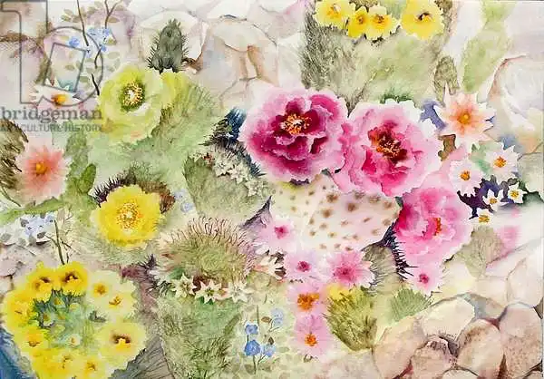 Pushparaj, Neel: Blooming Cacti