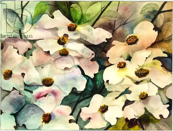 Pushparaj, Neel: Dogwood