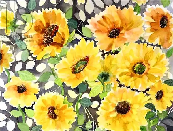 Pushparaj, Neel: Girasol