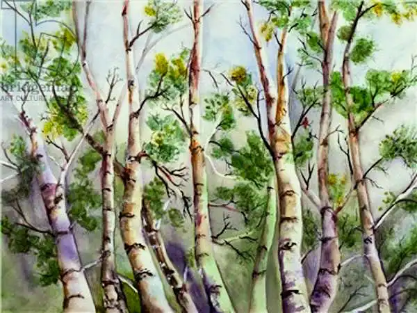 Pushparaj, Neel: Spring Birches