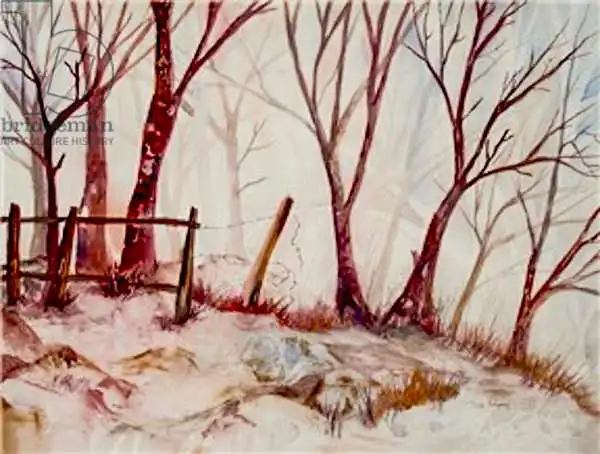 Pushparaj, Neel: Shadow Trees