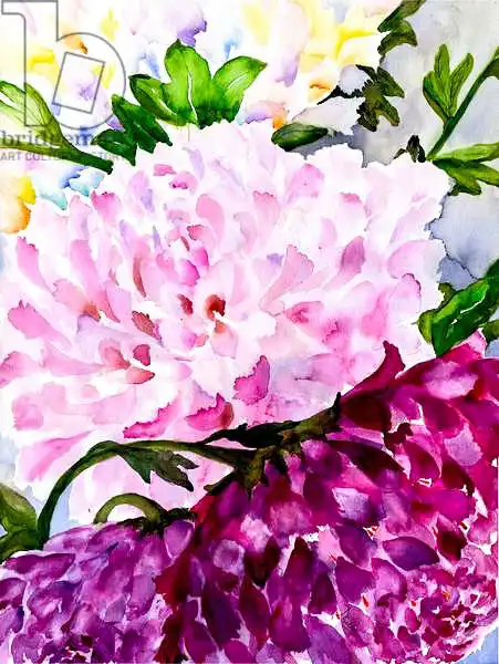 Pushparaj, Neel: Pink Peony