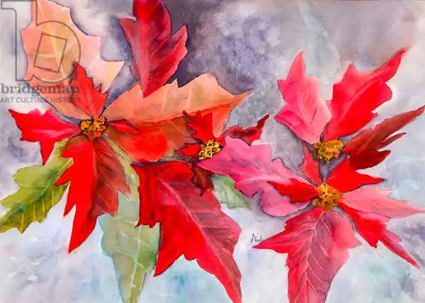 Pushparaj, Neel: Decmber delight