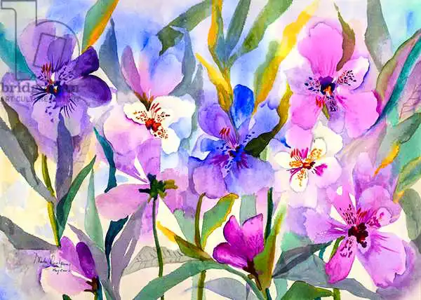 Pushparaj, Neel: Iris Fields