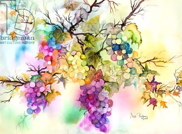 Pushparaj, Neel: Fruit on the Vine