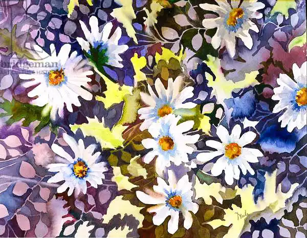 Pushparaj, Neel: White Daisies