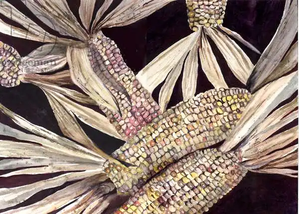 Pushparaj, Neel: Corn