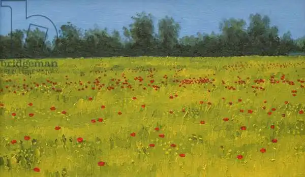 Byrne, Alan: Yellow Field with Poppies
