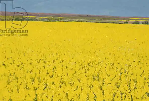 Byrne, Alan: Rape Field