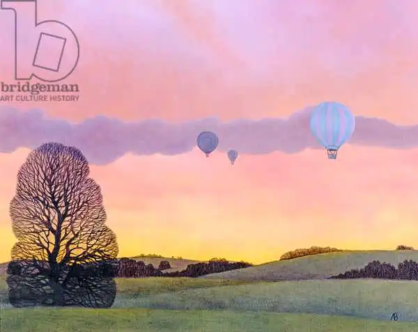 Brain, Ann: Carrera de globos, 2004